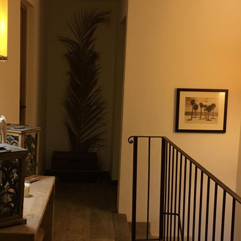 Le Clos des Sept Palmiers - Chambre Double Deluxe avec Grande Terrasse - 16