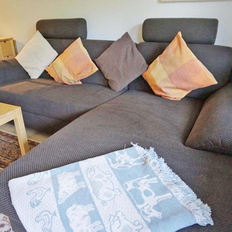 Der Sonnenhof - Ferienwohnungen - Appartamento con Terrazza - 6