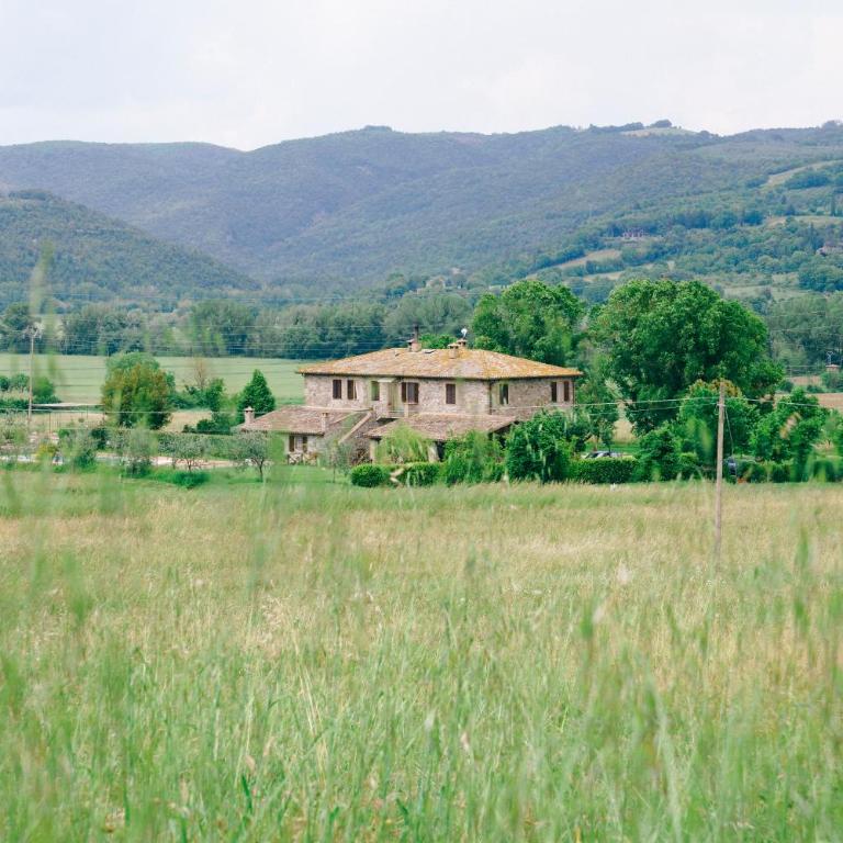 La Locanda Dell'olmo - Appartamento - Piano Terra - 20