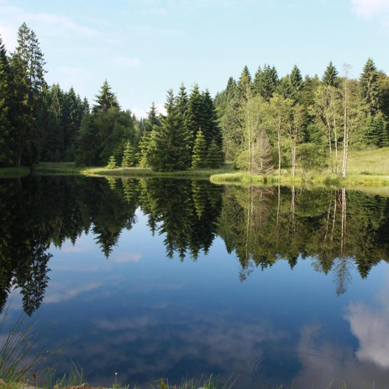 Chalet Des Rochires - Chalet 3 Chambres - 31