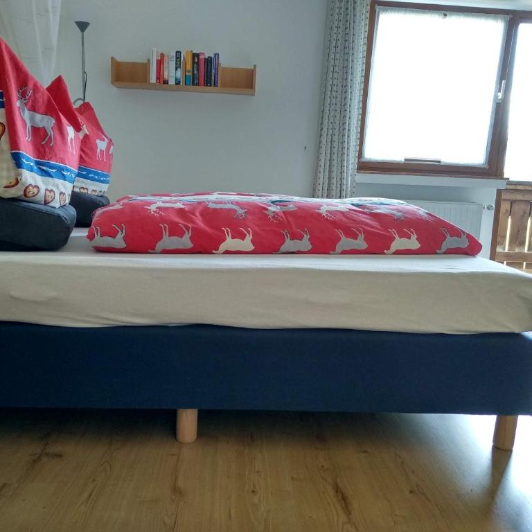Haus am Wiesenrain - Studio-Apartment - 5