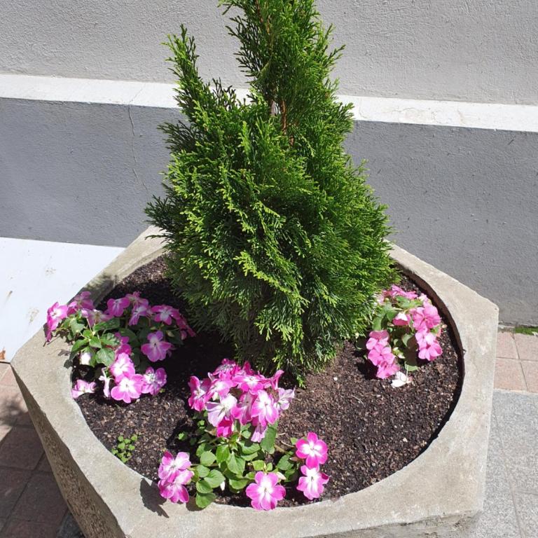 Apartment Resavska - Apartman sa 1 Spavaćom Sobom - 2