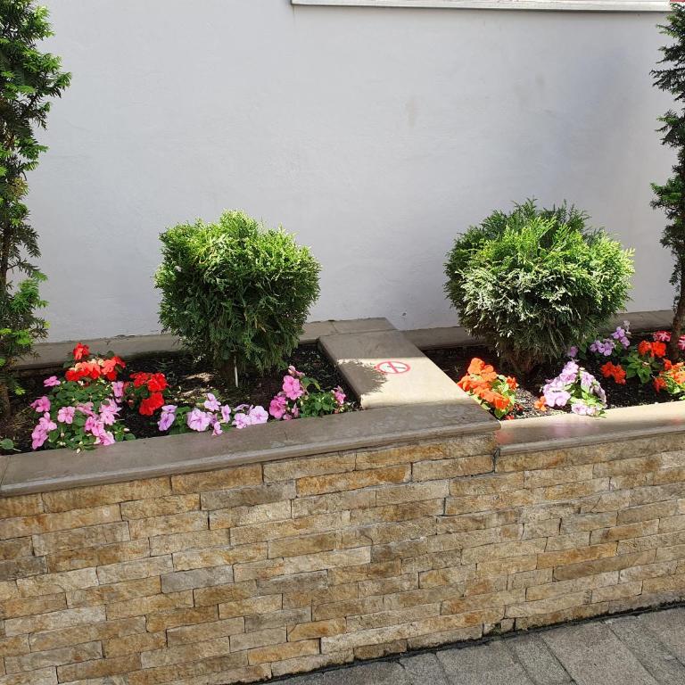 Apartment Resavska - Apartman sa 1 Spavaćom Sobom - 5