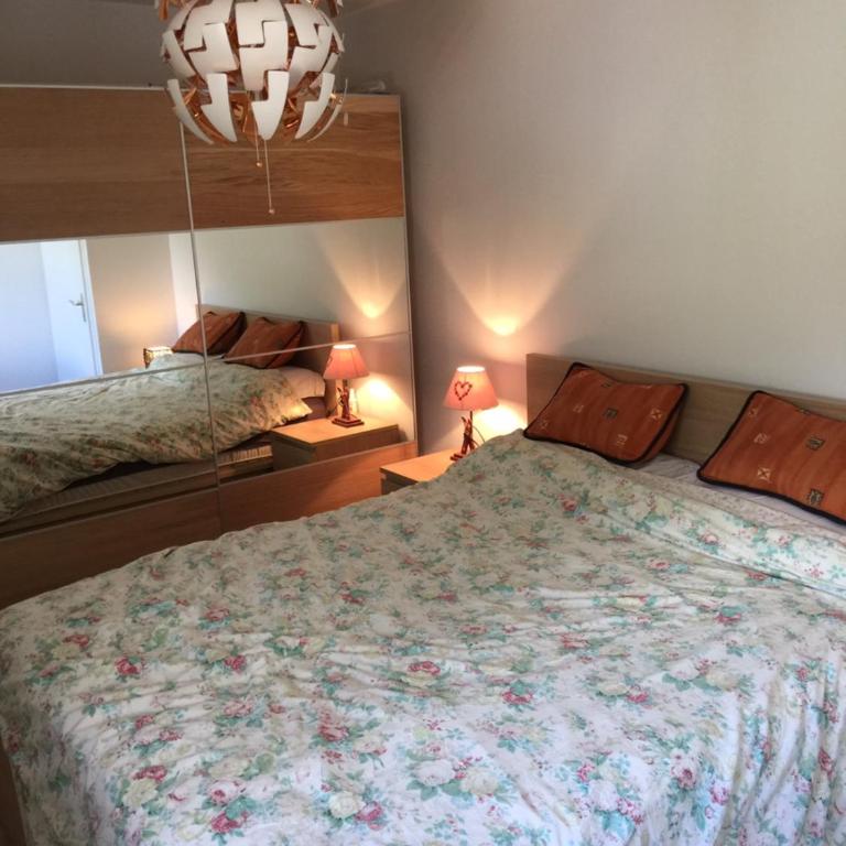 Appartement face au Mont Blanc & Glaciers - Apartamento con vistas a las montañas - 14