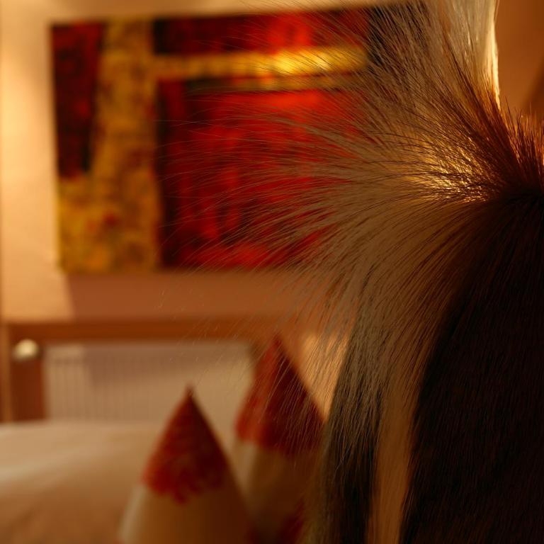 Hotel Bergruh - Standard Doppelzimmer - 4