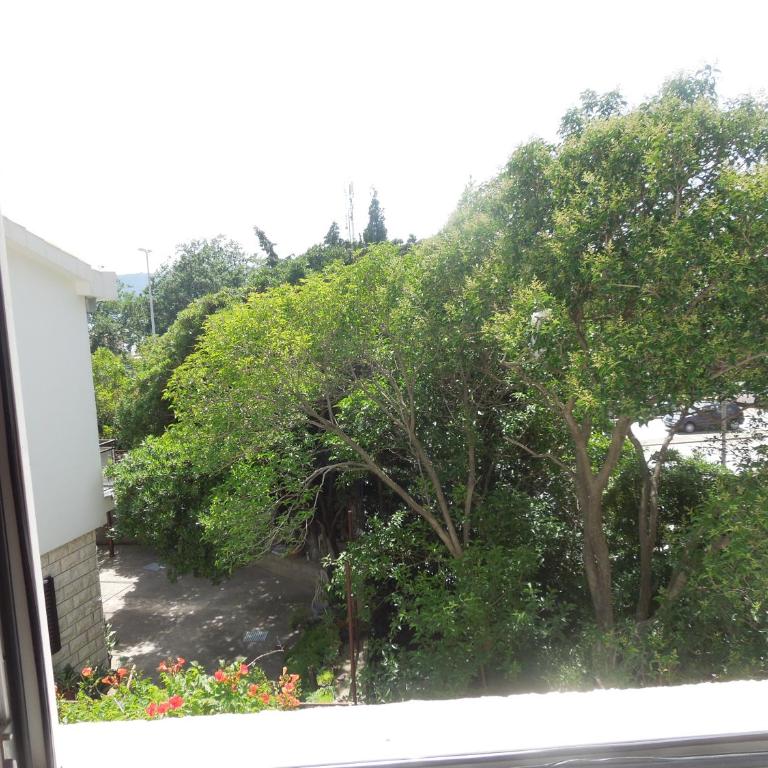 Apartments Bečić - Studio (3 Adults) - 5