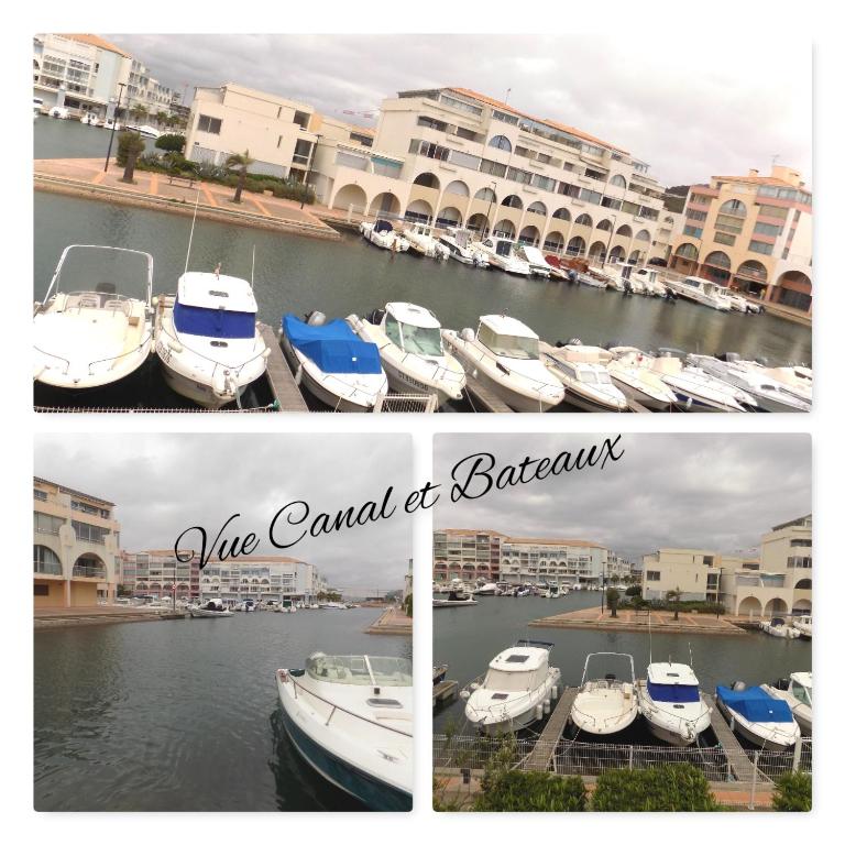 le grand large - Appartement 1 Chambre - 25