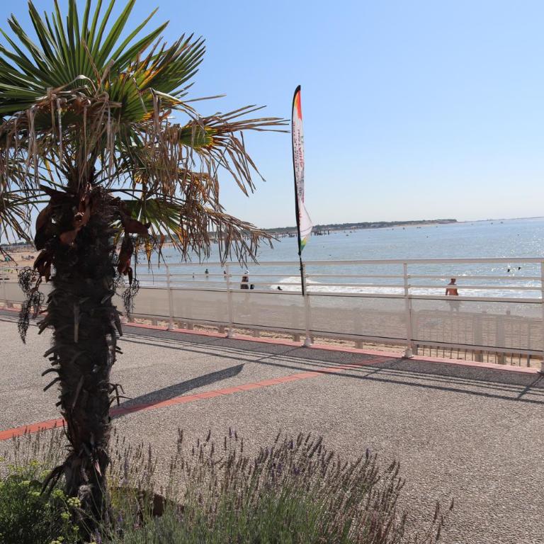 Résidence de L'Océan - Apartment with Sea View - 3