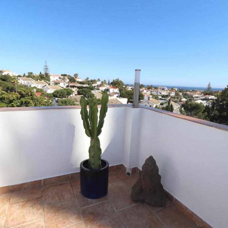 Miramar El Faro - One-Bedroom Apartment - 3