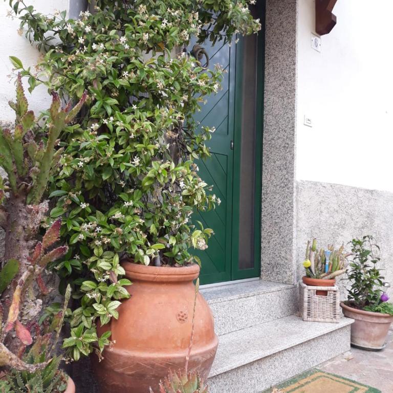 La Giara - Appartamento - 18