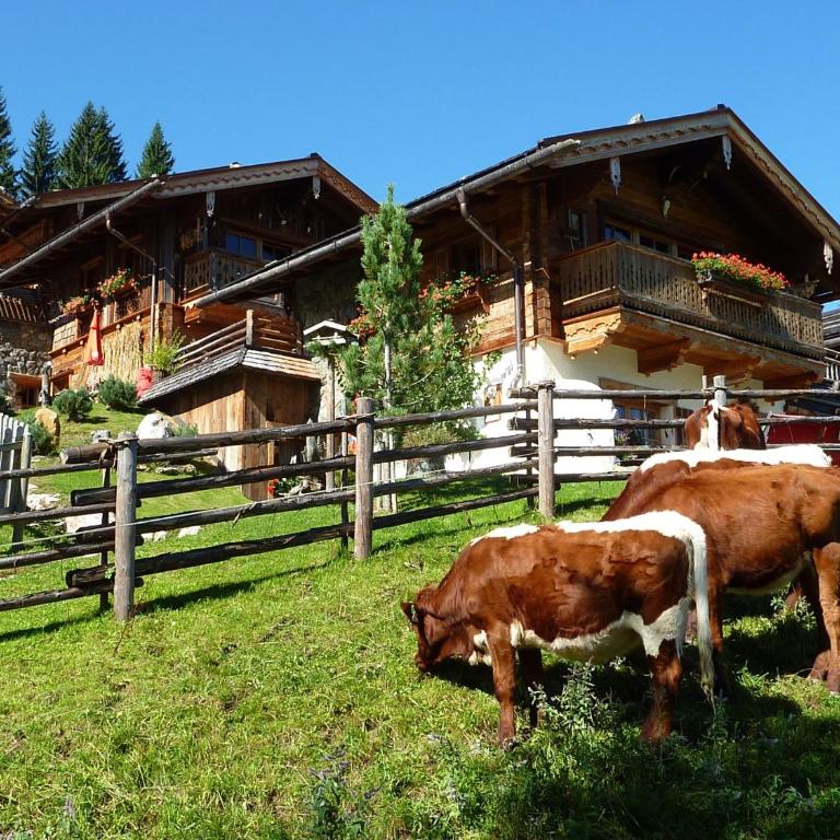 Almdorf Flachau - Luxus Hüttenurlaub - Chalet (4 Adulti) - 5