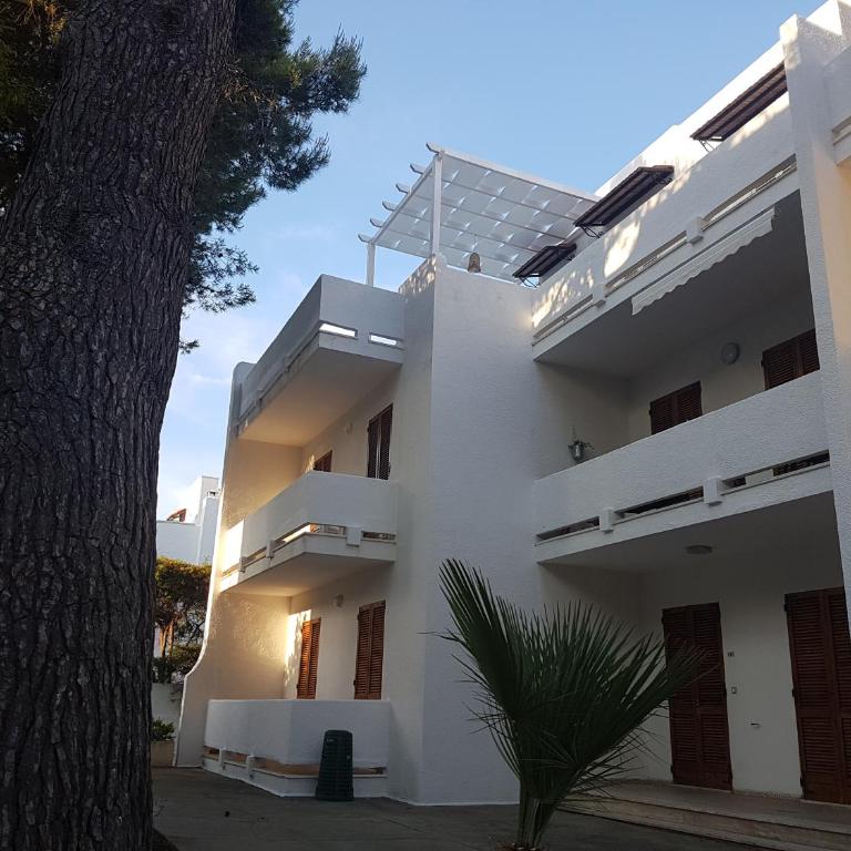Residence Orsa Minore - Appartamento - Piano Terra - 4