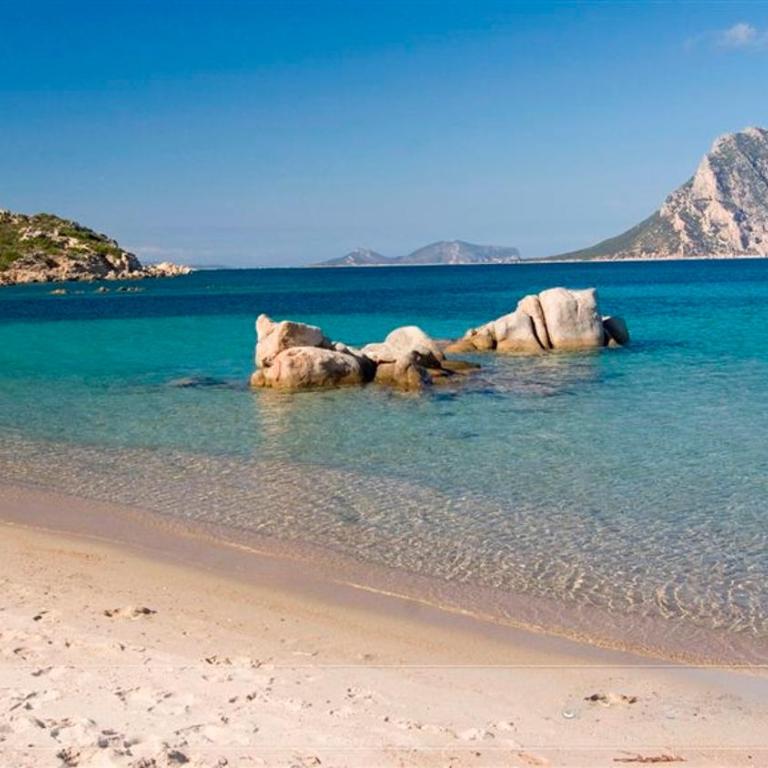 Villetta Farfalla azzurra - Casa con 1 Camera da Letto - 4