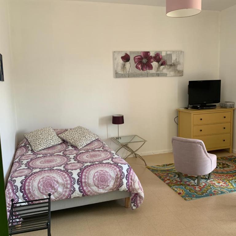 Studio coeur historique Albigeois - Apartment mit 1 Schlafzimmer - 3