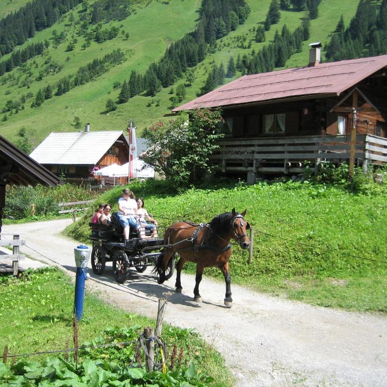 Haus Osterried - Estudio con balcón - 6