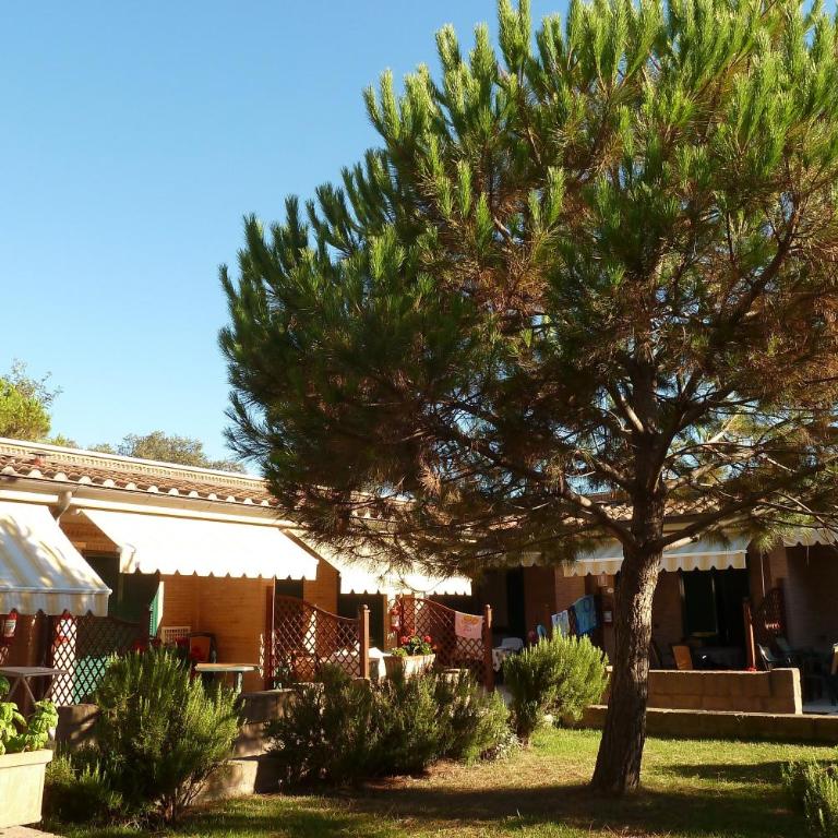 La Madonnina Village Resort - Appartamento Standard - 13