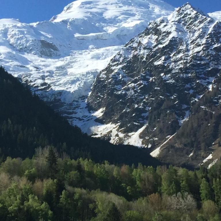 Appartement face au Mont Blanc & Glaciers - Apartamento con vistas a las montañas - 12