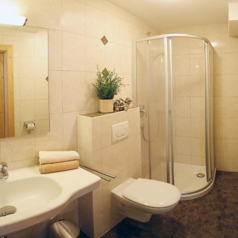 Landhaus Tirol - Apartment mit Dusche - 2