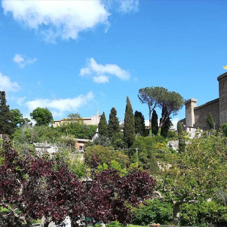 Alloggio Turistico Civico 4 - Appartamento Standard con 1 Camera da Letto - 14