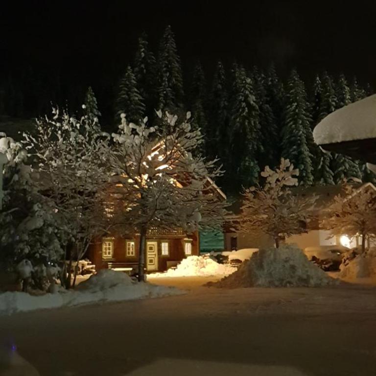 alpenrose hotel-garni - Economy Einzelzimmer - 1