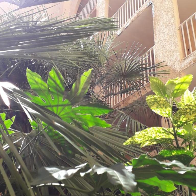 Domaine de La Coudouliere, Vue Mer, Plage, Piscine et Parc - One-Bedroom Apartment - 41