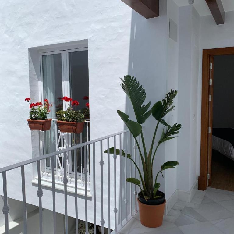 7Escalones - Studio - Disability Access - 3