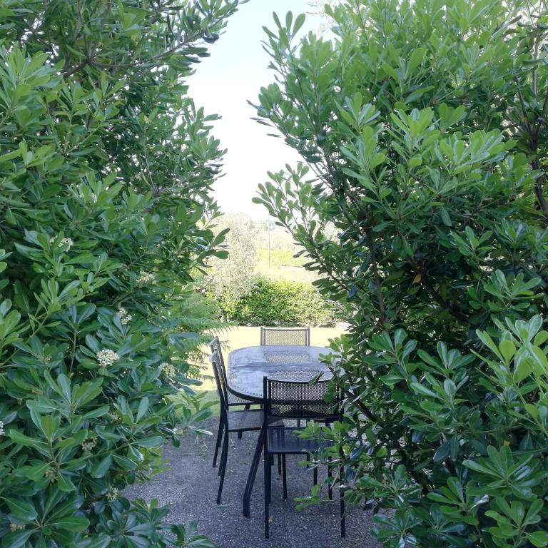 Casale el galet - Appartamento con 1 Camera da Letto - 2