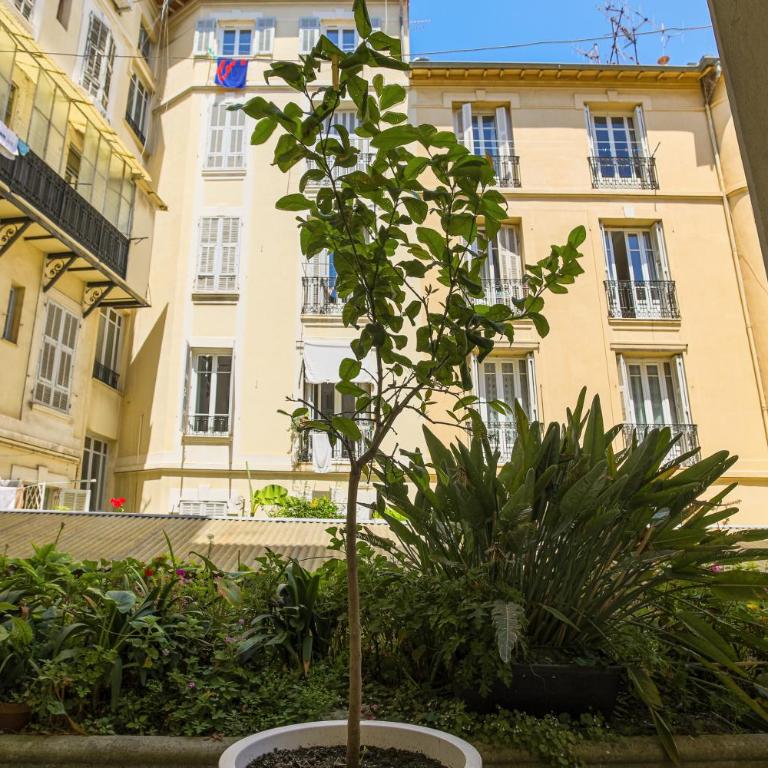 Nice Home - Studios Lido - Studio Confort - 2