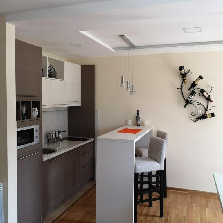 Apartman Maximus Zlatibor - Apartment with Mountain View - 14