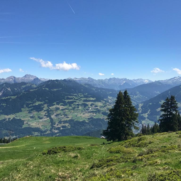 Gästehaus Gschwendtner - Appartamento con 3 Camere da Letto - 21