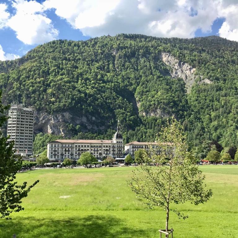 The Loft Interlaken - Luxury Apartment with Terrace for 6 People - 3