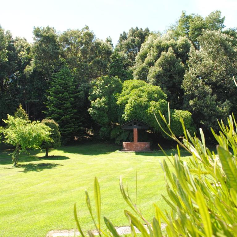Cabañas de Turismo Araucarias del Sur - Bungalow (5 Adults) - 27