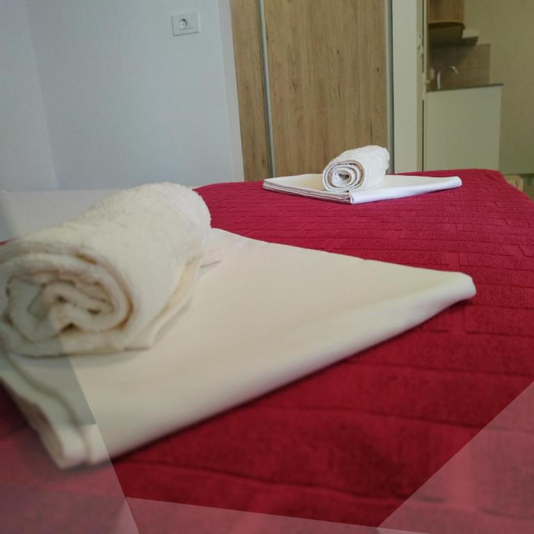 ApartBrajovic67 - Studio Apartment - 13
