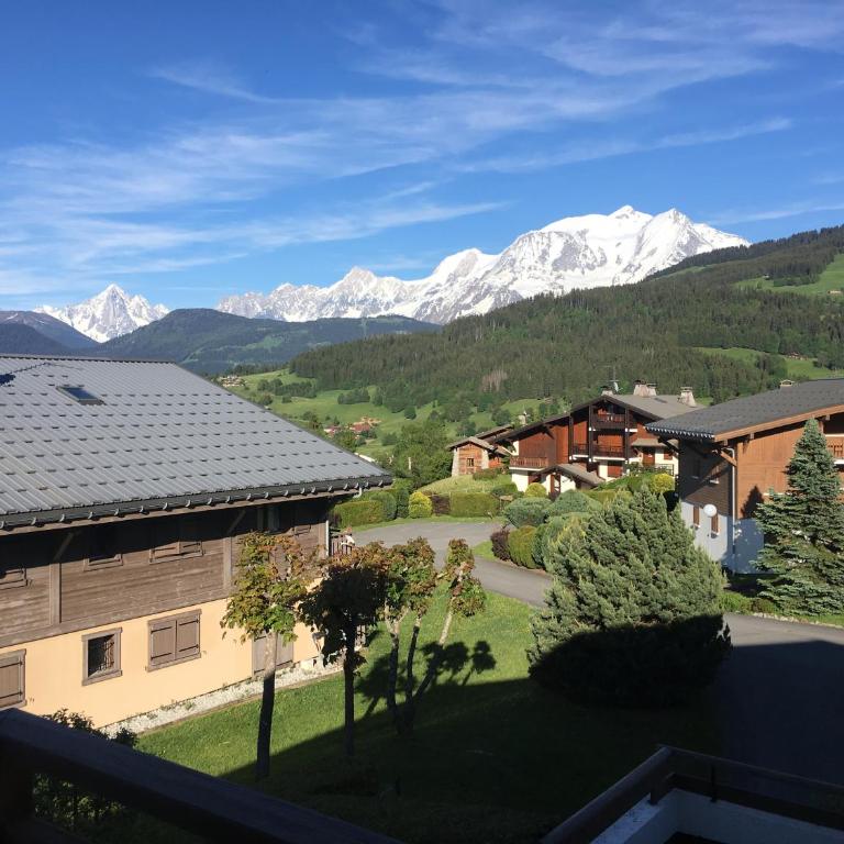 Appartement cosy et chaleureux à Megève avec vue sur le Mont Blanc - One-Bedroom Apartment - 12