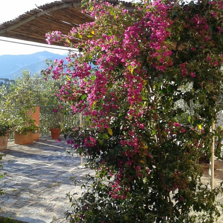 Villa Albachiara - Deluxe Double Room - 20