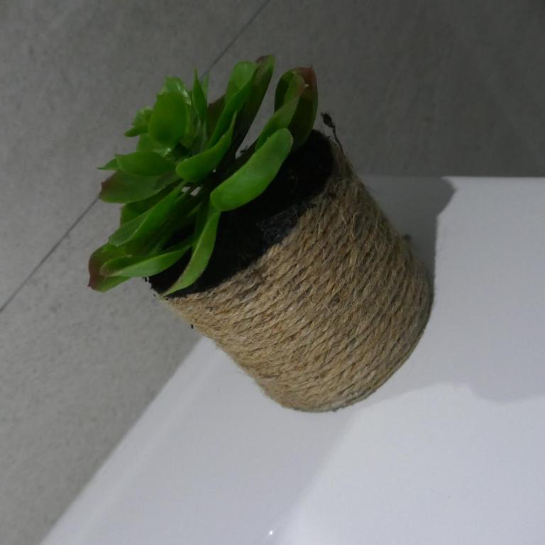 Corralejo Sun 312 - Apartamento de 1 dormitorio - 85