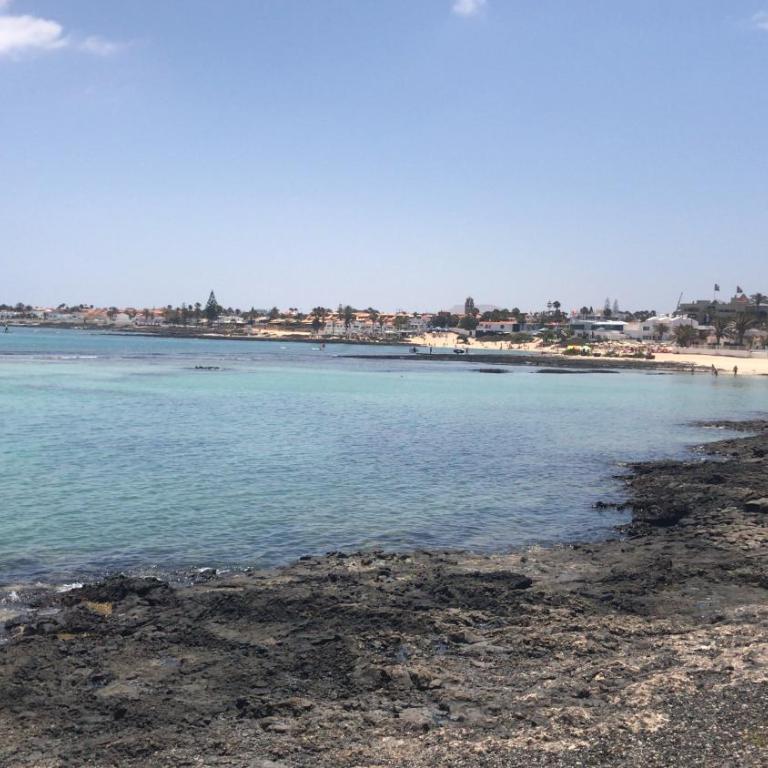 Corralejo Sun 312 - Apartamento de 1 dormitorio - 41