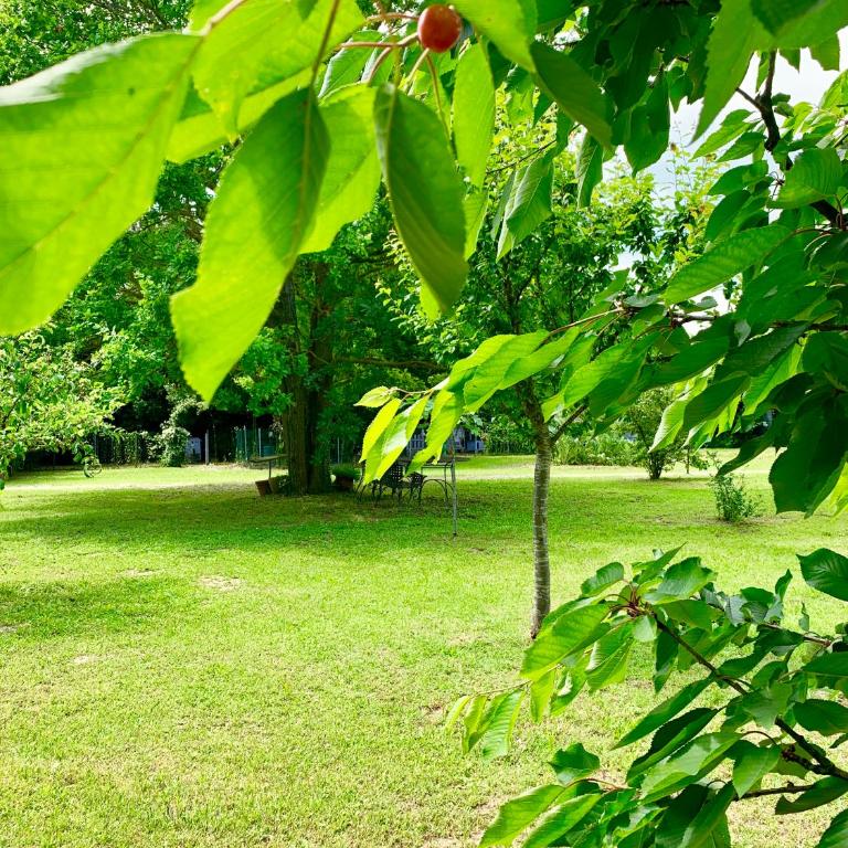 the green home - Appartamento con 2 Camere da Letto - 45