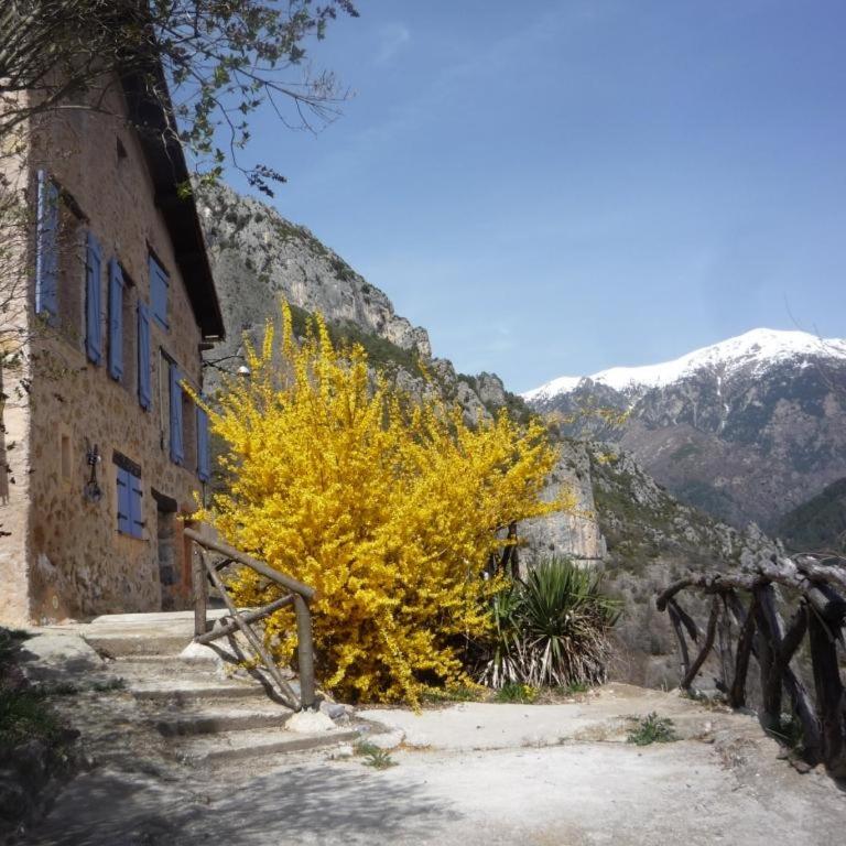 La Capretta - Appartement avec Vue sur la Montagne - 17