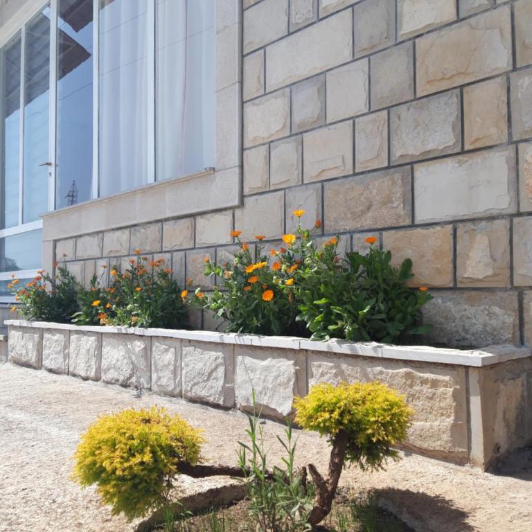 Hajdi apartman - Porodični Studio - 14