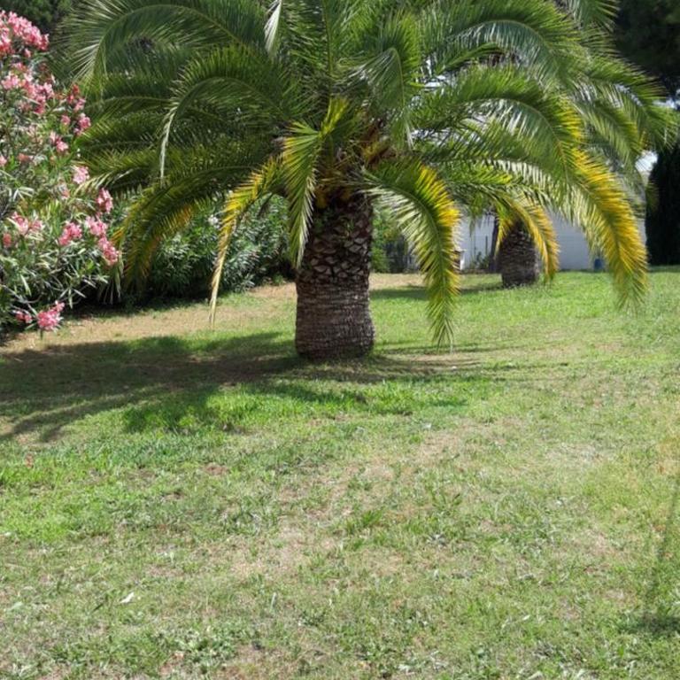 Résidence les Floralies 2 - Avenue de Camargue - One-Bedroom Apartment - 26