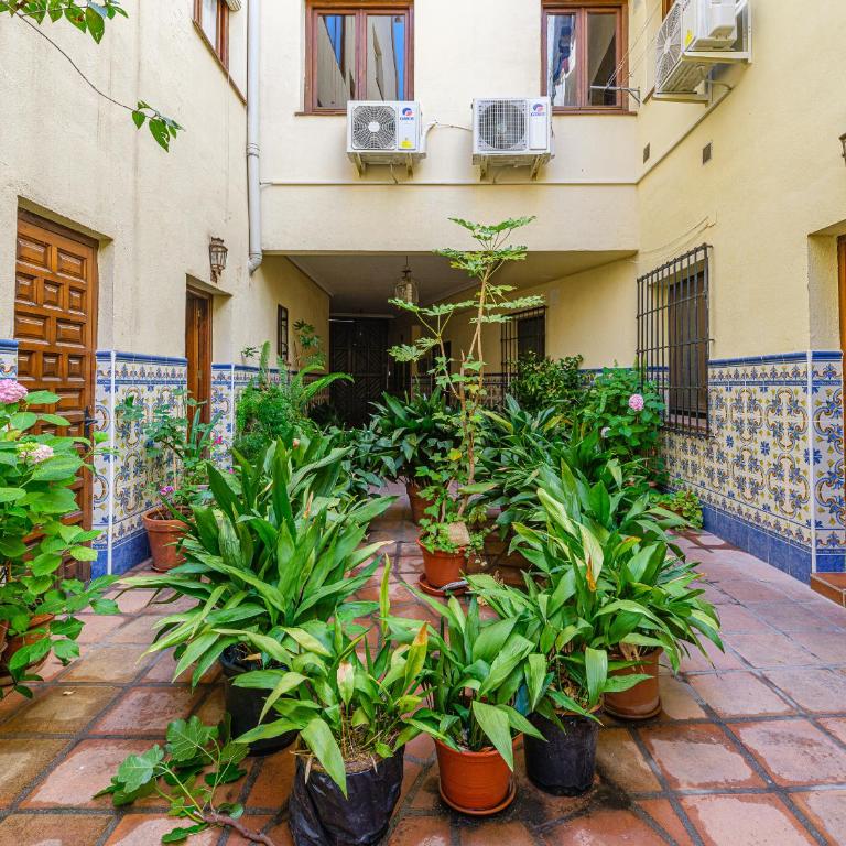 Apartamento San Vicente by Toledo AP - Apartamento Superior - 51