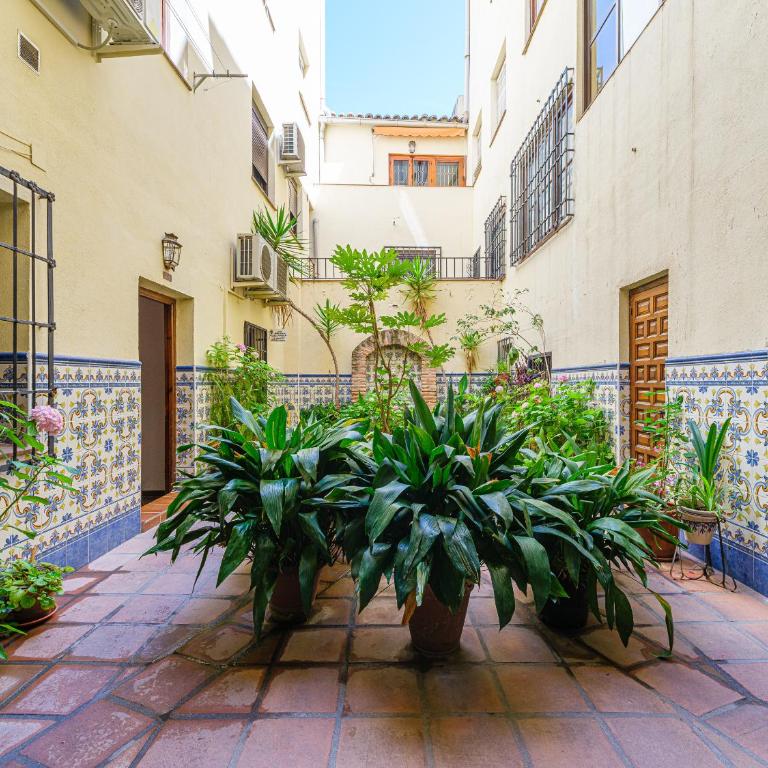Apartamento San Vicente by Toledo AP - Apartamento Superior - 52