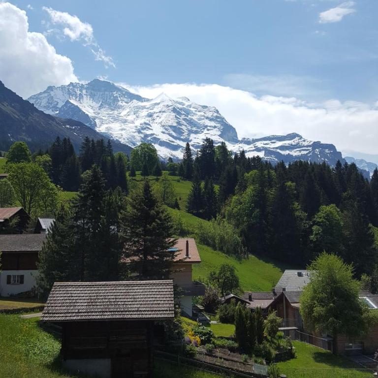 Chalet Viola - Verena's Loft - Apartment mit Blick auf die Berge - 31