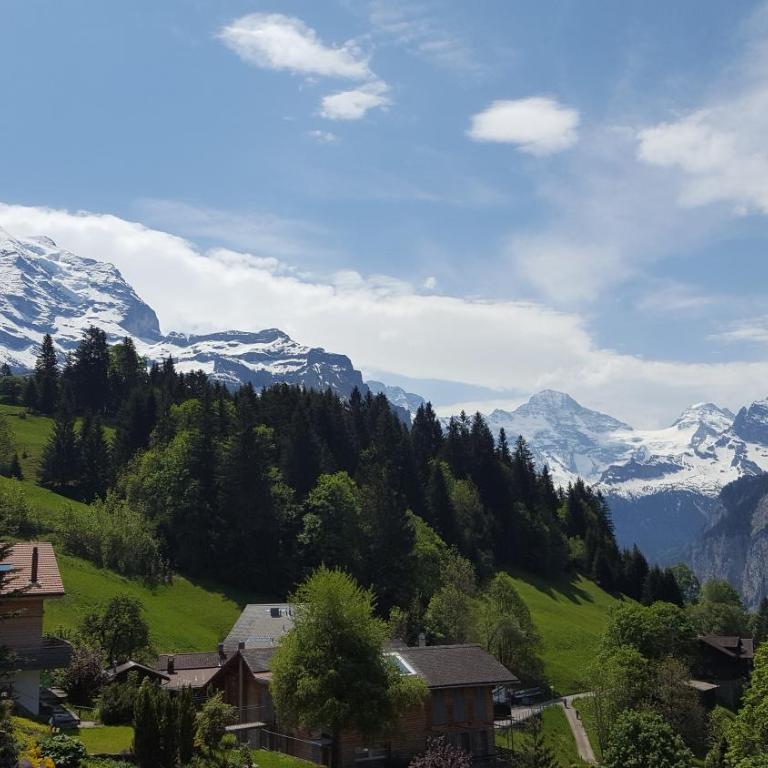 Chalet Viola - Verena's Loft - Apartment mit Blick auf die Berge - 28