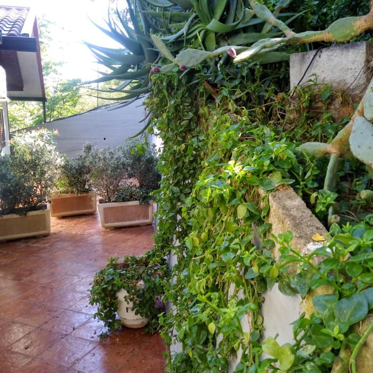 tramonto blu - Appartamento con 2 Camere da Letto - 10