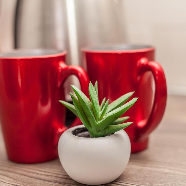 Blue Sea - Suite with Sea View - 12