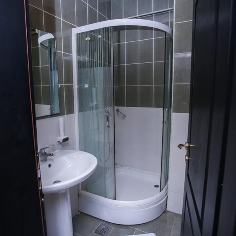 Hotel - Beograd - Deluks Dvokrevetna Soba sa Bračnim Krevetom i Tušem - 4