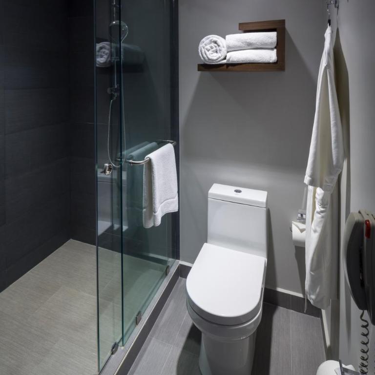 Presidente InterContinental Mexico City by IHG - Double Room with City View - 1