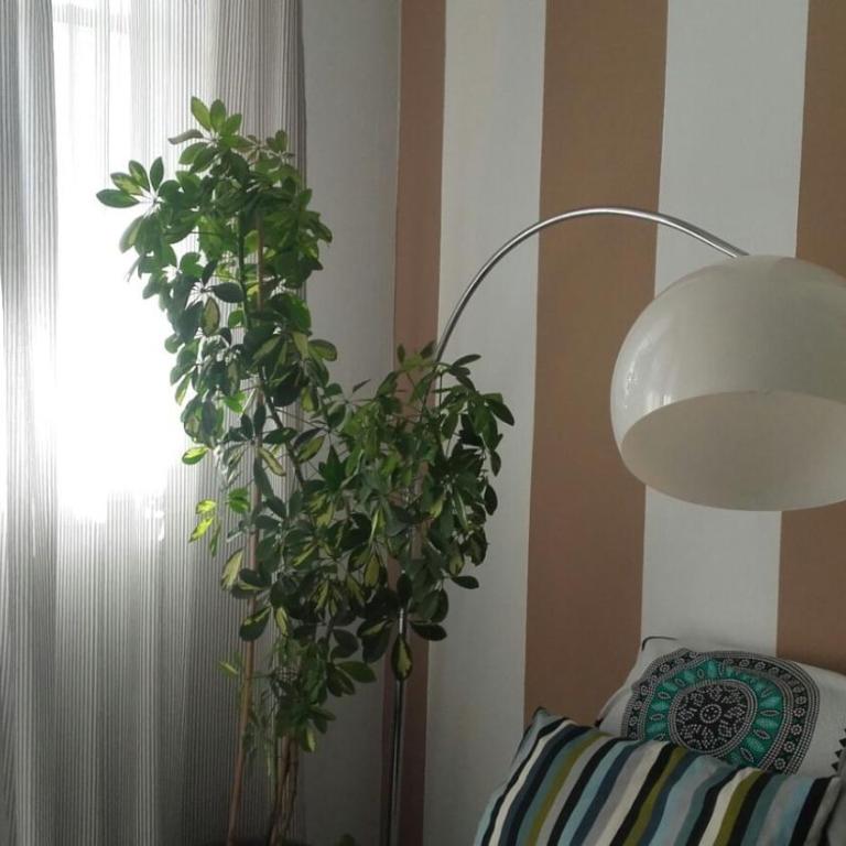 Casa Leon - Apartamento de 1 dormitorio - 15